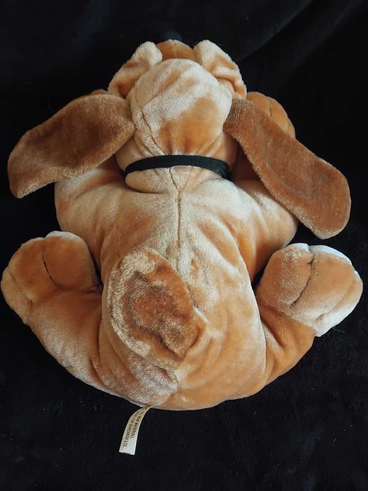 Куче Burzakov /  Бързаков