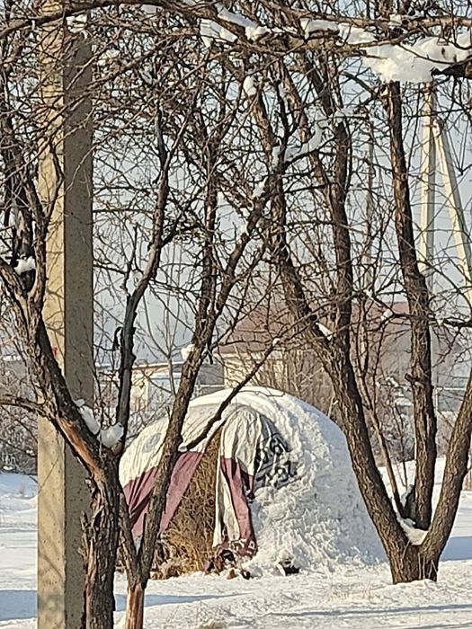 Продам свежее сено