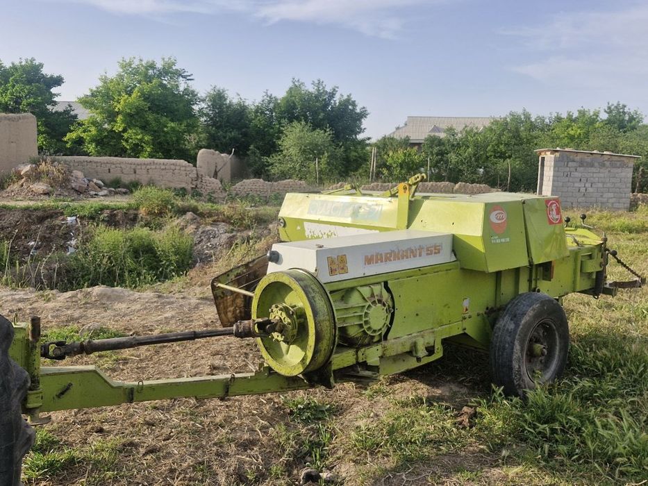 Class 55 market  piris padborchik