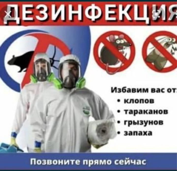 Обработка от термитов, клопов, тараканов