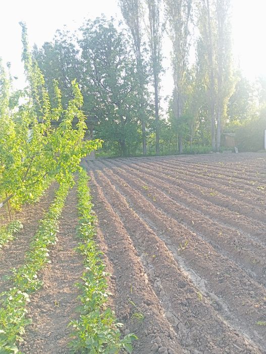 Yer uchastkasi sotiladi/Участок земли продается