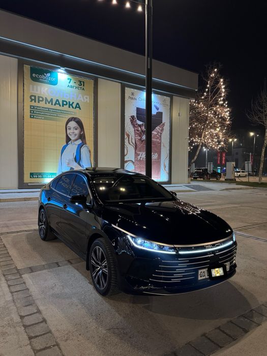 BYD Chazor fulll