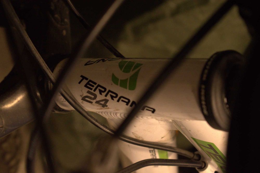 Bicicleta DHS Terrana 24