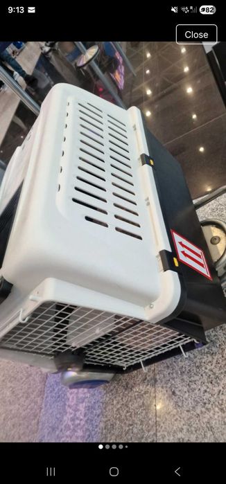 Cusca iata noua caini skudo 7 cu roti si stickere