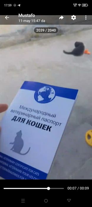 Mushikcham sotiladi emlangan tozza pasport ham bor