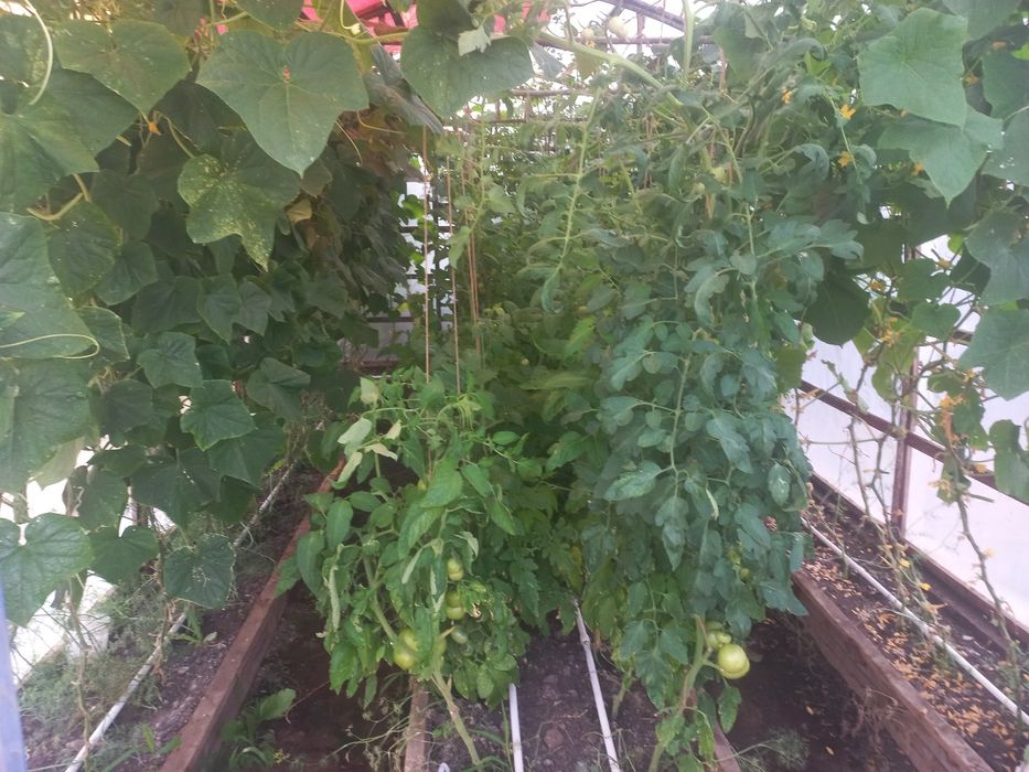 Продам дачу в районе саздинского водохранилища