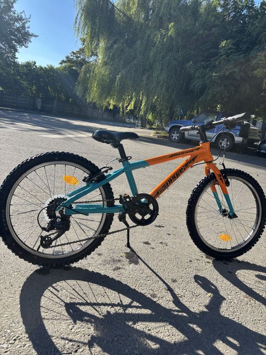 Bicicleta pegas copii
