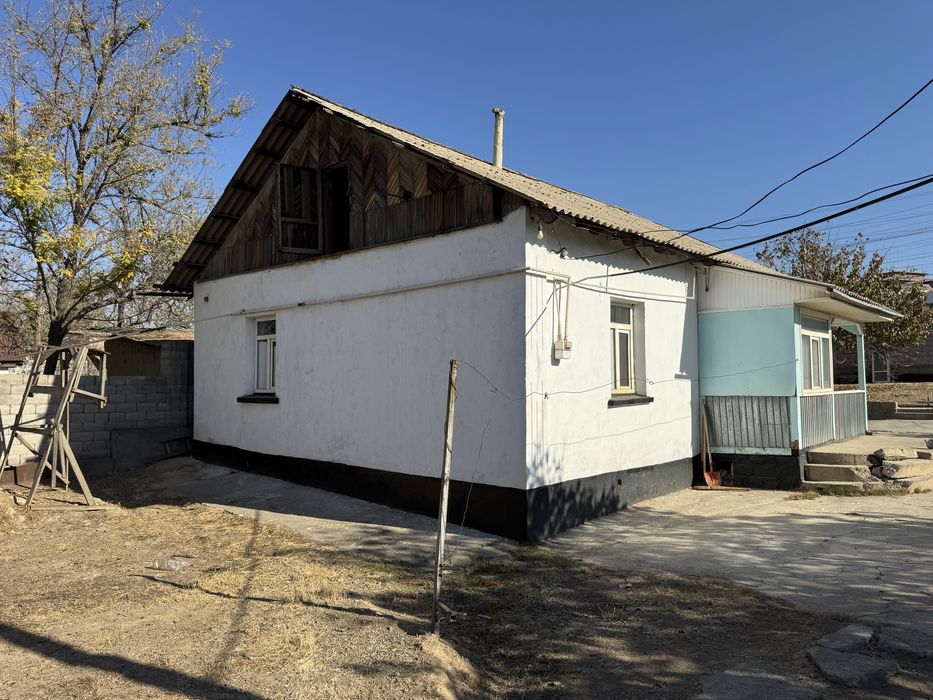 Сарыагашта уй сатылады