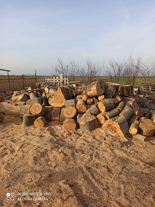 Depozit lemn foc Videle