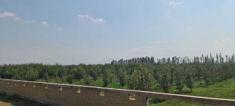 4 gektarli Bog' 20 Sotix Noturar joyi bor (  даромадли бог)