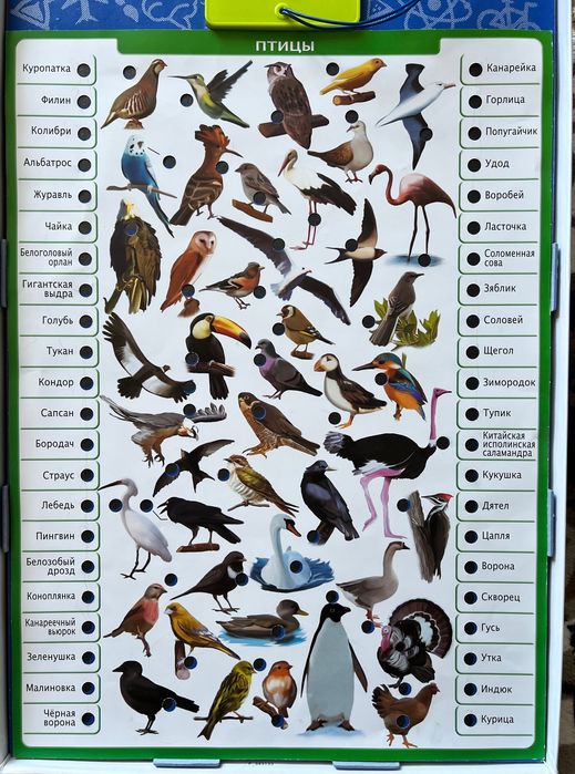 Игра для детей Conector Животный мир