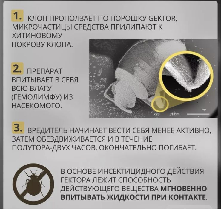 Gektor 1 киллограмм от клопов