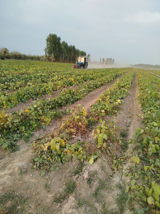 Карчофка сотилади комплект