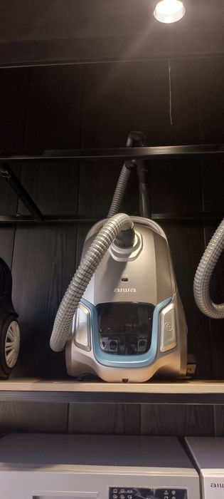 Чанг ютгич пелесос