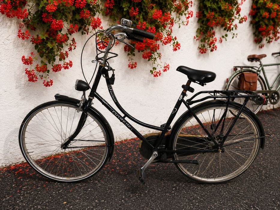 Bicicleta Dama lady Gazelle
