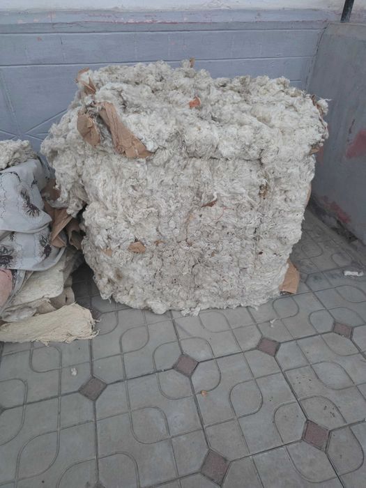 Toy paxta sotiladi