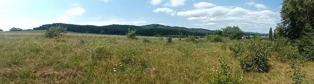 Teren intravilan Targu Neamt-  str. baile Oglinzi