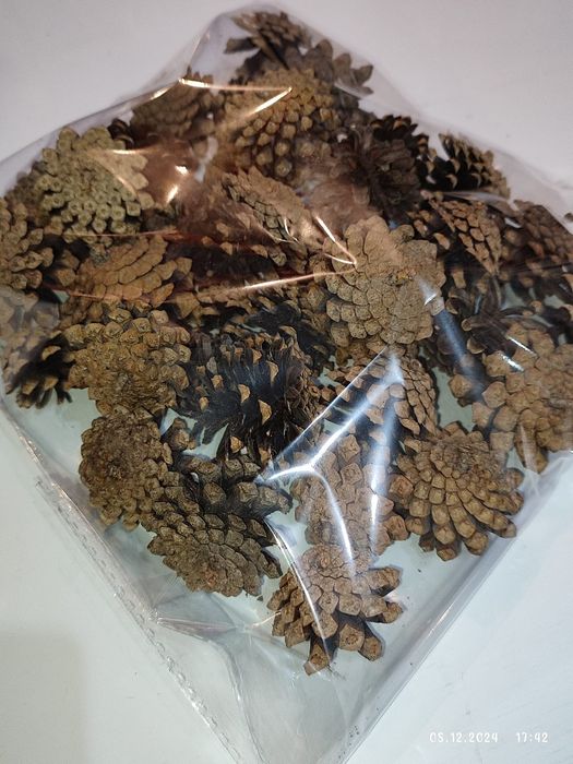 Шишки сосновые чистые