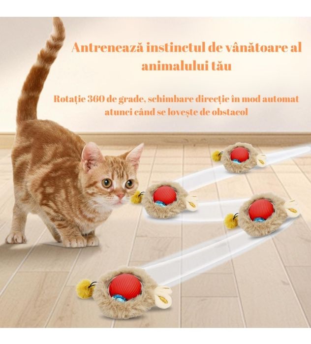 Jucarie inteligenta pentru pisici/caini, interactiva, electrica, reinc