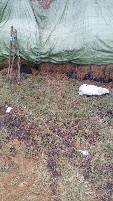 Vând baloți amestec