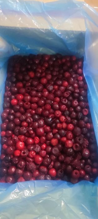 Клюква  свежезамороженая