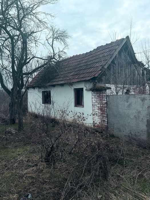 Casa de vanzare in Rapsig judetul arad 1400m.p