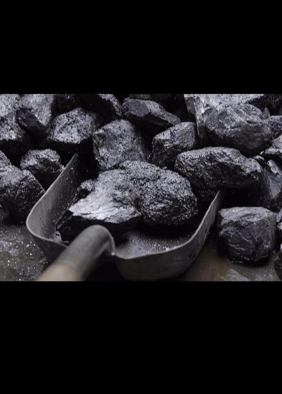Steam coal это фото 6