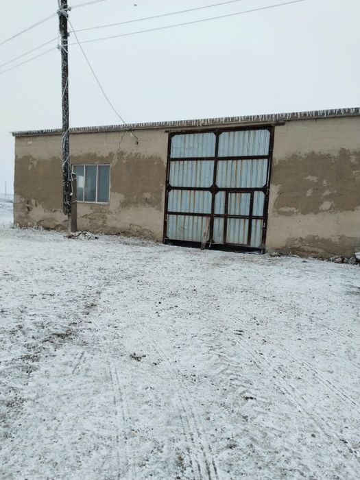 Продается хозяйство