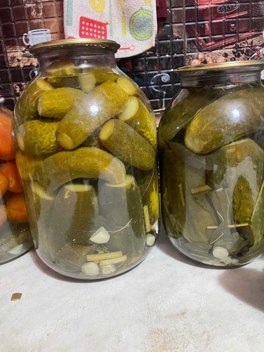 засолка 2025 года