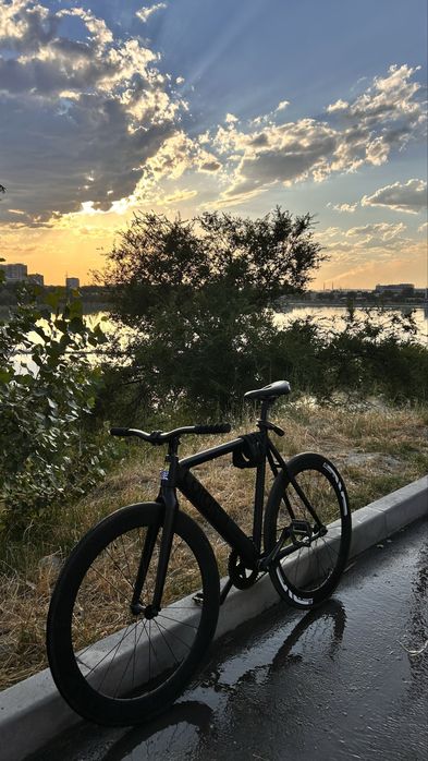 Colossi low pro