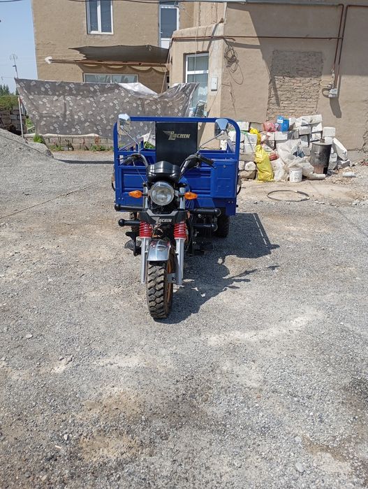 Matasikil bortli