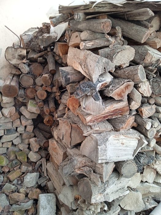 Tayyor qurigan oʻtinlar