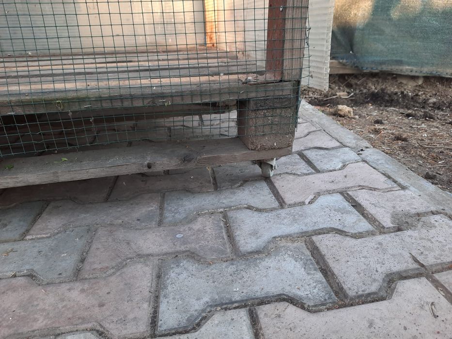 Colivie mare/ cusca papagali