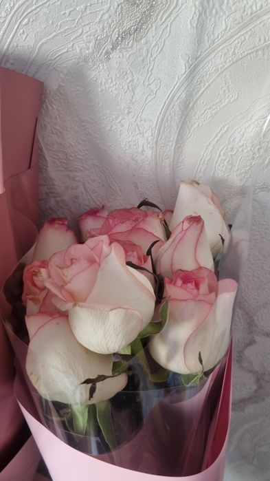 Цветы продам срочно