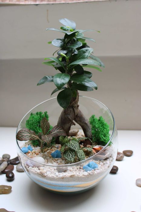 Флорариум с езеро - подарък за деня на влюбените, 8ми март, рожден ден