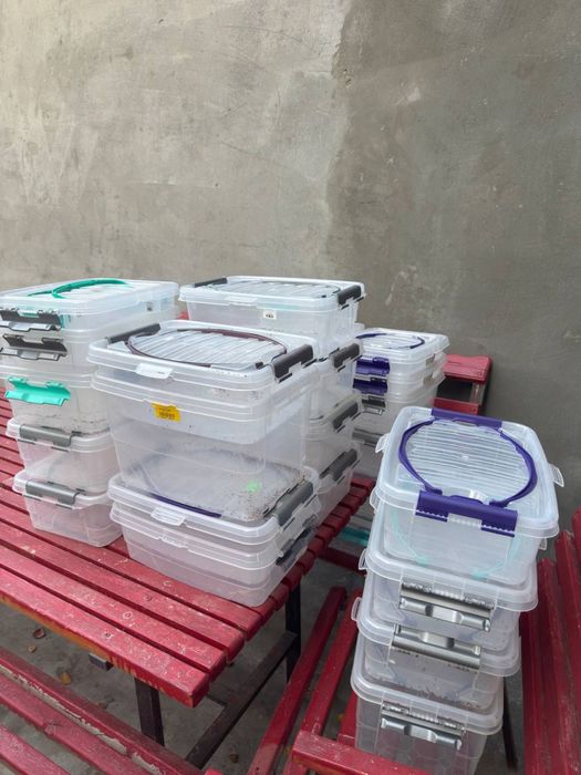 Контейнерь посуда