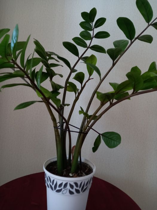 Украшение дома ЦВЕТЫ