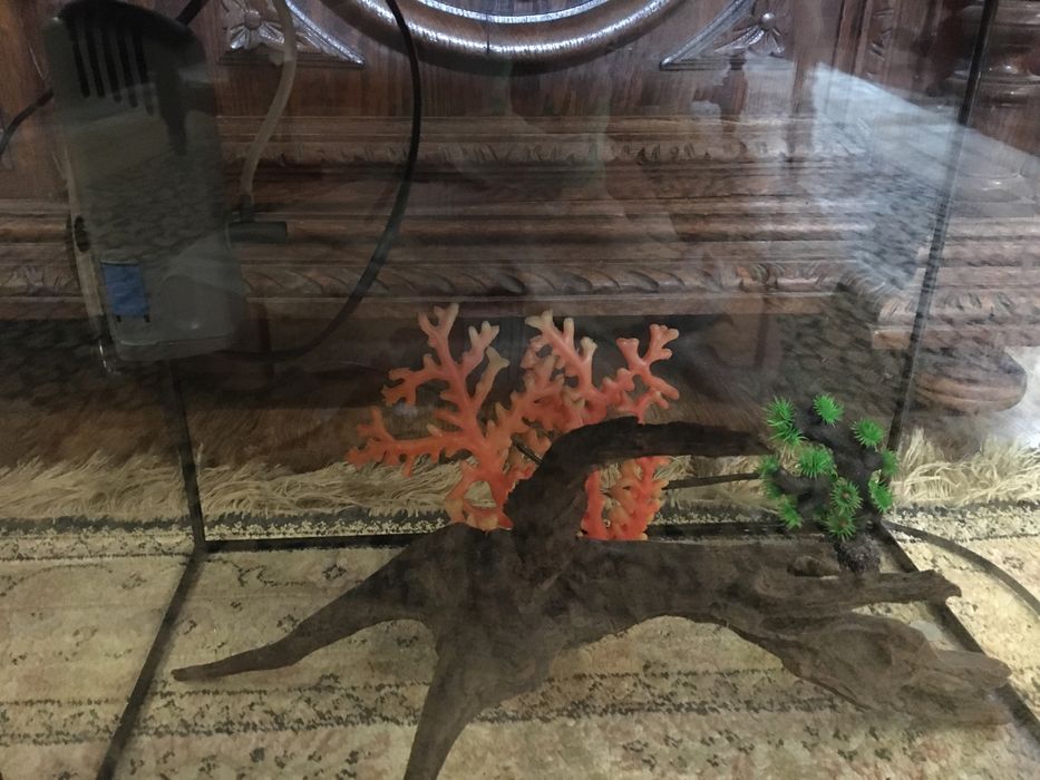 Аквариум комплект