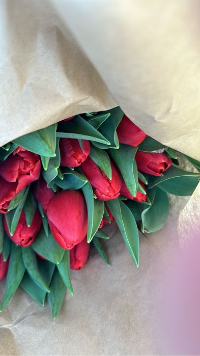 Тюльпаны оптом по брони