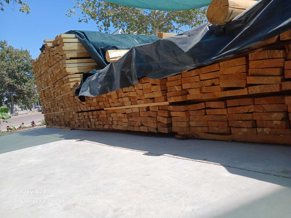 Taxta , Sasna Yog'ochi