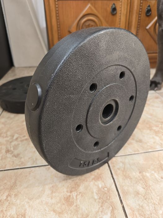 Discuri plastic, 6,6 kg bucata