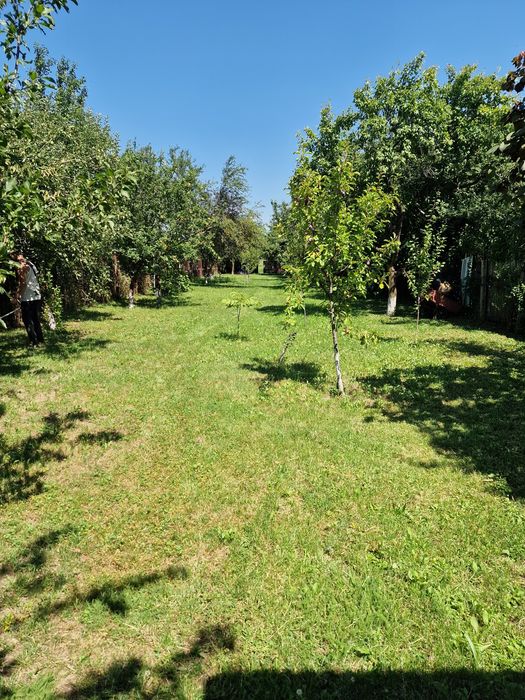 Teren Intravilan / Floresti Prahova  4500mp