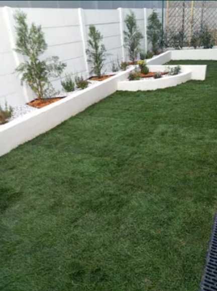 Gazon Rulou Dens și Viguros – Verificare Video și Montaj Rapid