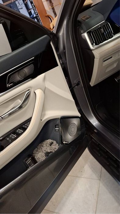 Декоративные накладки на нижние динамики BYD Song Plus / Champion