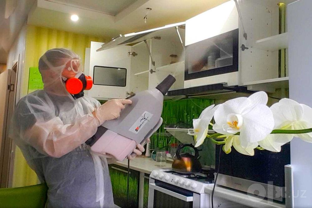 Дезинсекция дачи, дома, офисы, склад, подвалы