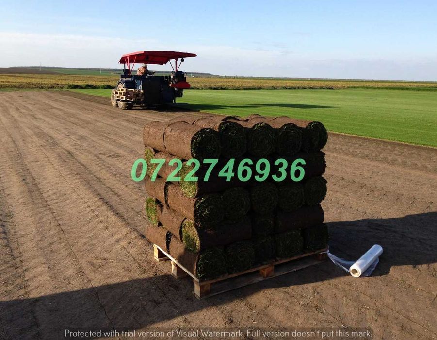 Gazon Rulou Verde Natural cu Livrare Rapidă