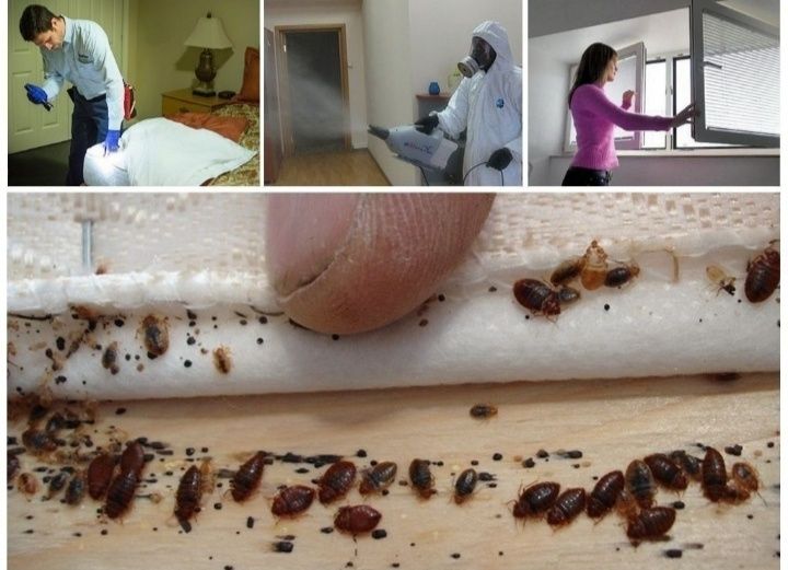 Dezinfeksiya vositalari 1-qol 100 ming