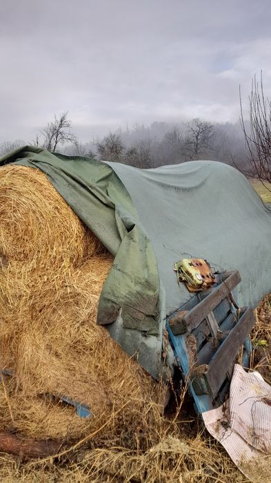 Vand baloti lucerna amestecata cu iarba