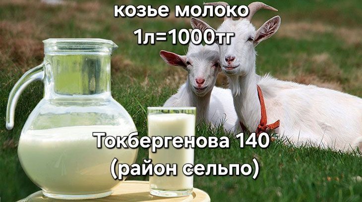 Козье молоко (зааненской молочной породы) 1л=1000₸