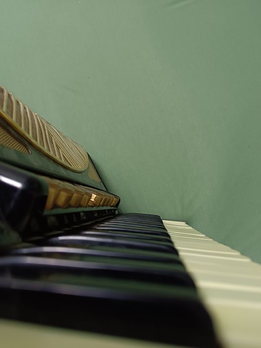 Hohner Verdi V 120 bass